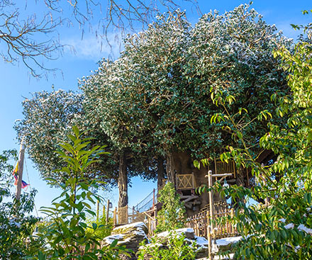 La Cabane des Robinson